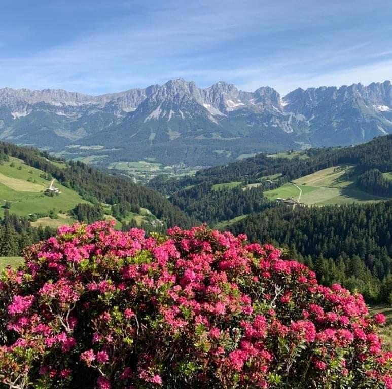 Angererhof Jochberg Exterior foto