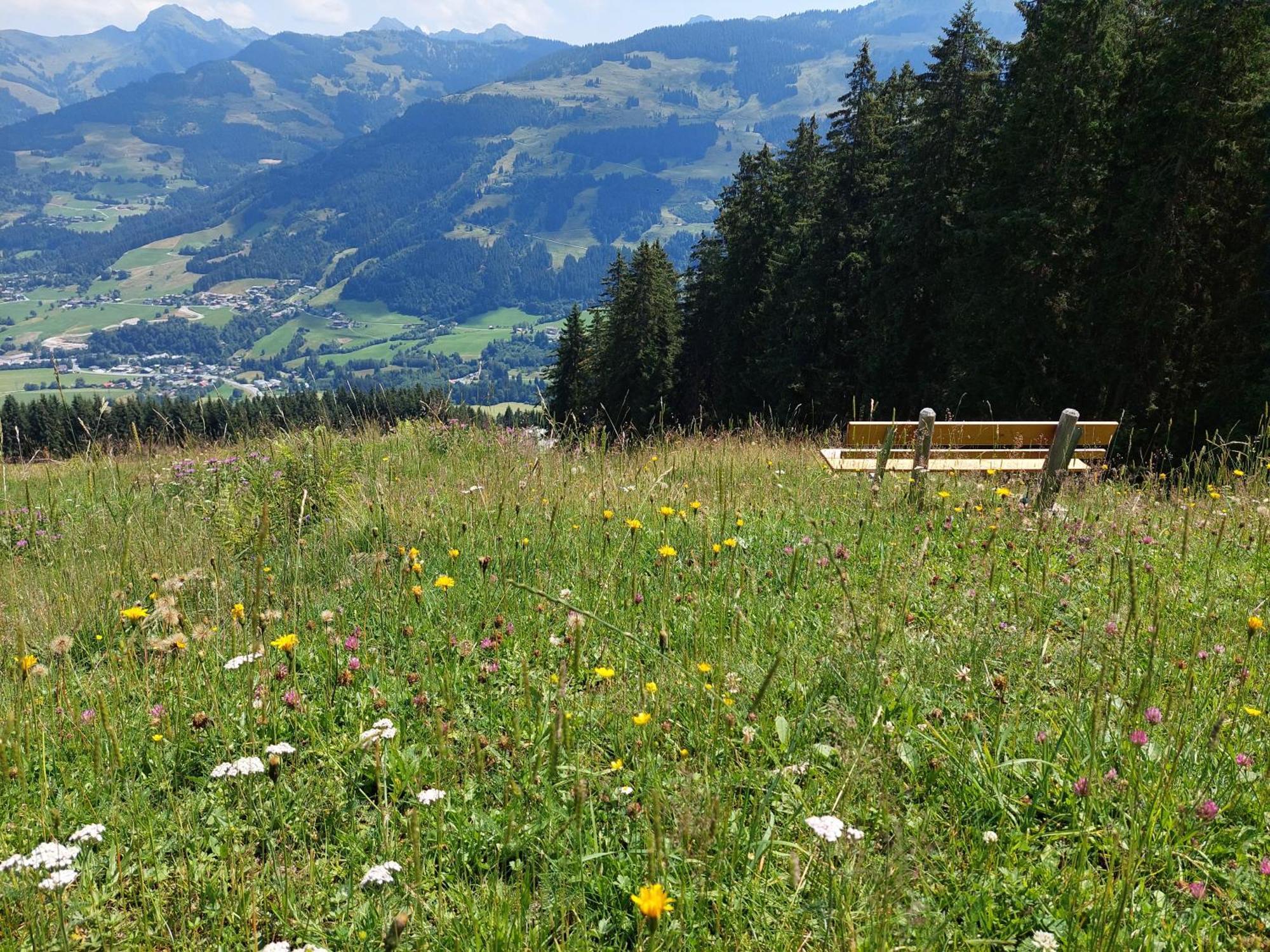 Angererhof Jochberg Exterior foto